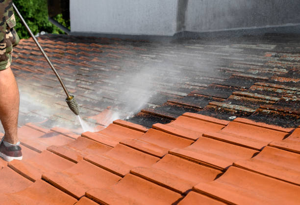 Best Local Pressure Washing Services  in Bourbon, IN